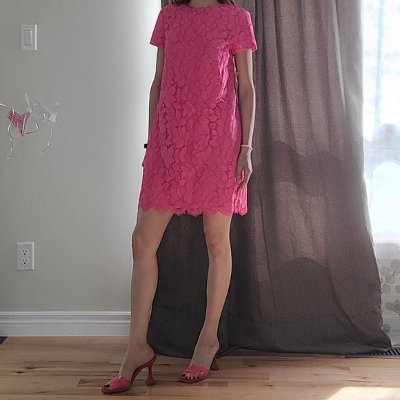 Cece petite floral lace lined dress - Picture 5 of 15